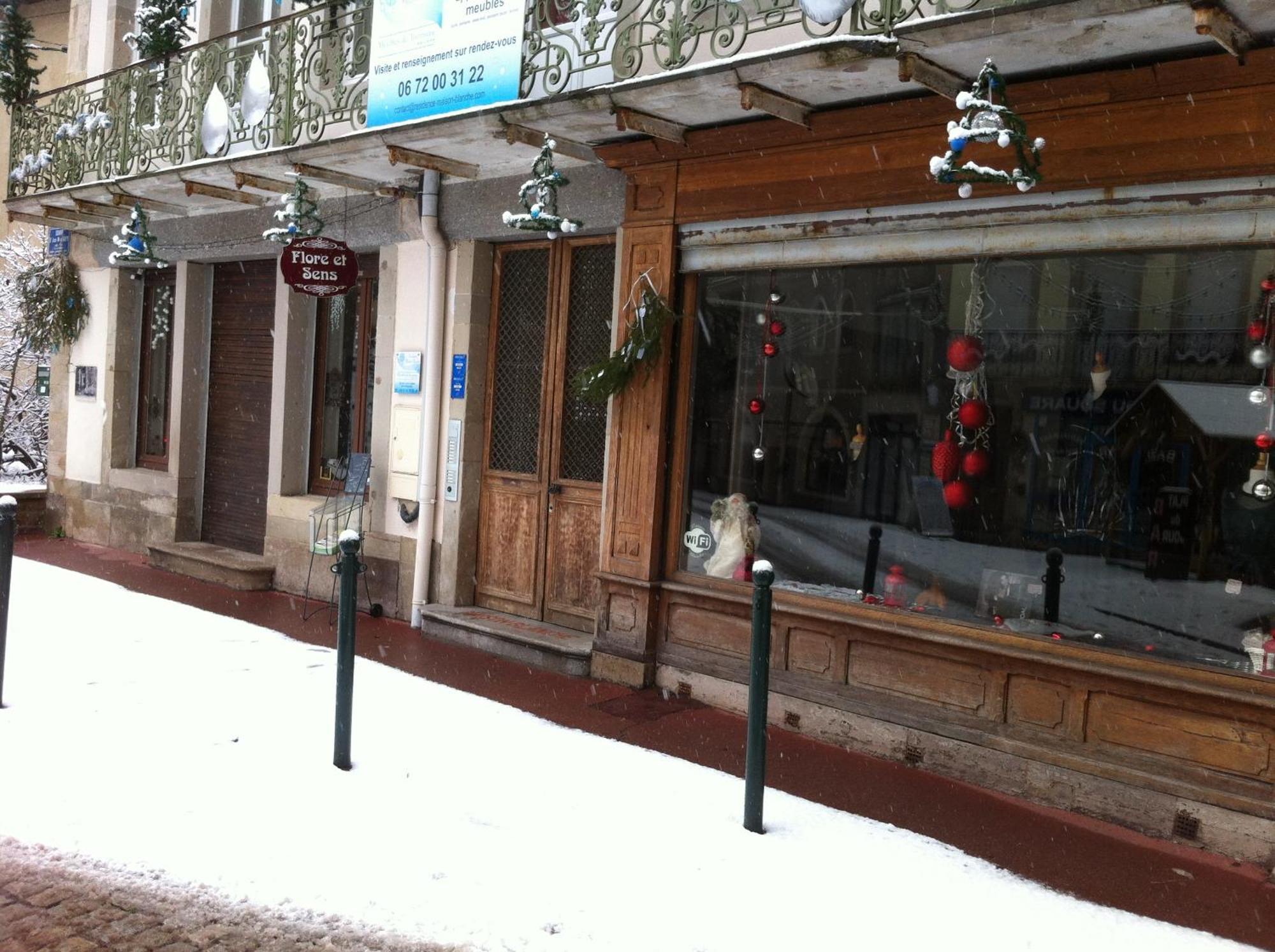Résidence Maison Blanche Plombières-les-Bains Exterior foto